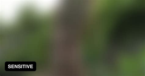 Everything S A Dildo If You Re Brave Enough GAG