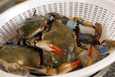 Ganjang Gejang Raw Crab Marinated In Soy Sauce Recipe
