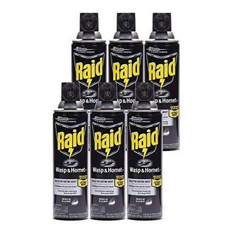 Raid Wasp Hornet Killer Spray 14 Ounce Pack Of 6