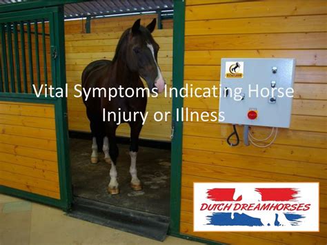PPT - Vital Symptoms Indicating Horse Injury or Illness PowerPoint