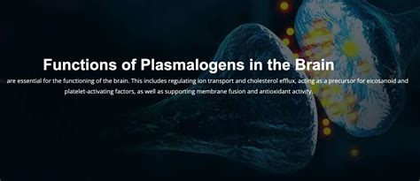 Plasmalogen Functions: Part 1 of 2