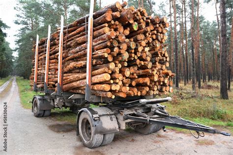 Baumstämme fertig zum Abtransport Stock Foto Adobe Stock