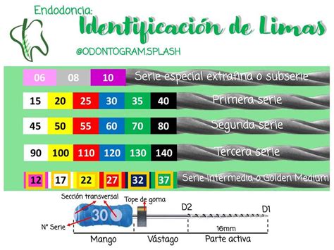 Limas De Endodoncia Odontogramsplash Salud Medicina Humana UDocz