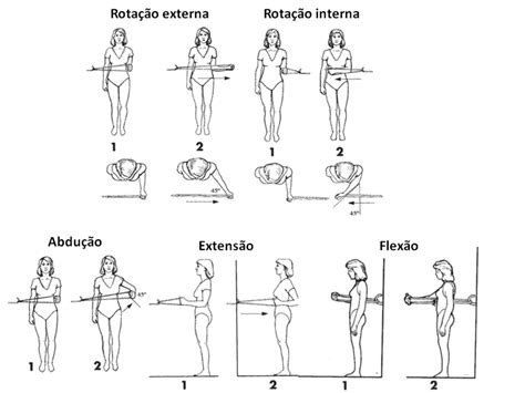 Fisioterapia — Dr Eduardo Malavolta