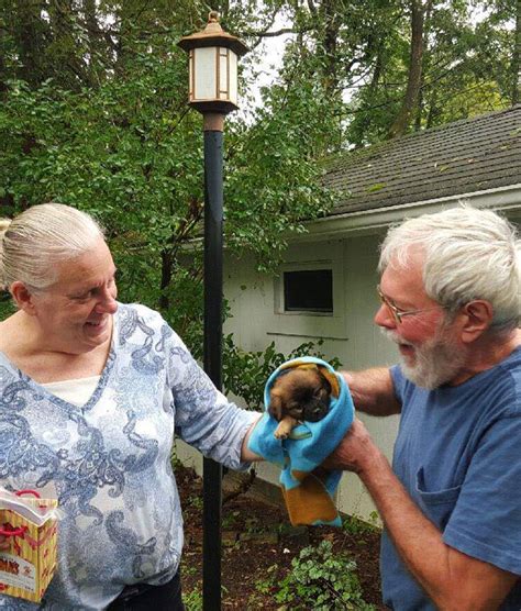 Zoetis Rewards Creature Comforts Veterinary