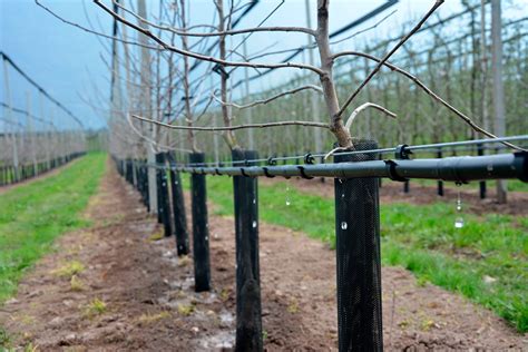 Капельный полив от производителя IRRI-GO