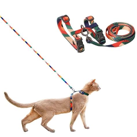 The Best Cat Harness For Your Adventurous Feline Pets Take A Break