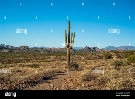 An Overlooking View Of Lost Dutchman Sp Arizona Stock Photo Alamy