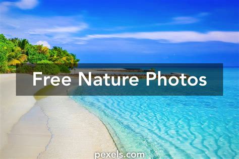 nature images pexels  stock