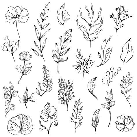 Premium Vector Hand Drawn Leaf Set And Botanical Vector Art