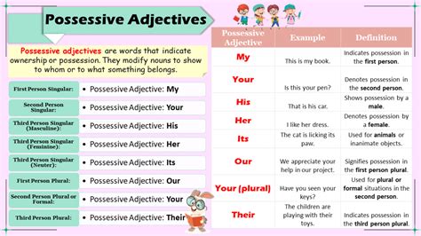 possessive adjectives definition  examples  english grammarsphere