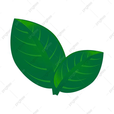 Gambar Daun Hijau Logo Daun Daun Daun Yang Indah Png Dan Vektor