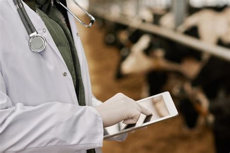 Página 3 Fotos de Veterinario Ganado 1 000 Fotos de stock gratuitas