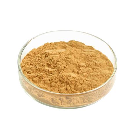 Ginkgo Biloba Extract Bilobalide, Ginkgolide - Plant Extracts Manufacturer