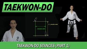 Taekwondo Stances | Taekwondo Wiki | FANDOM powered by Wikia