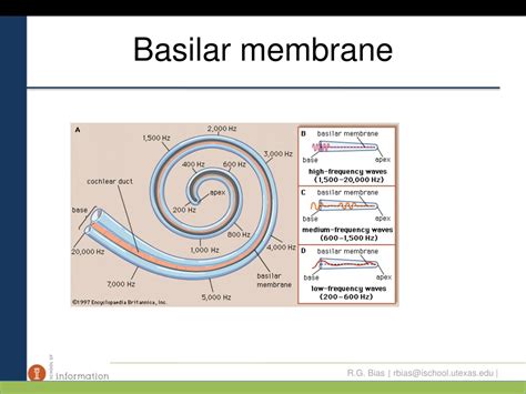 PPT - Name that tune. PowerPoint Presentation, free download - ID:179021