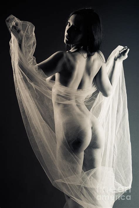 Sheer Nude Backside Photograph By Jt Photodesign Fine Art America