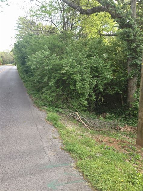 Shade Parade: Nashville - Greenest, most Walkable City, in a Short