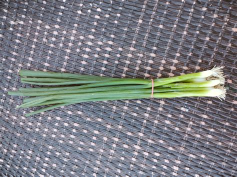 Scallions Stoney Acres