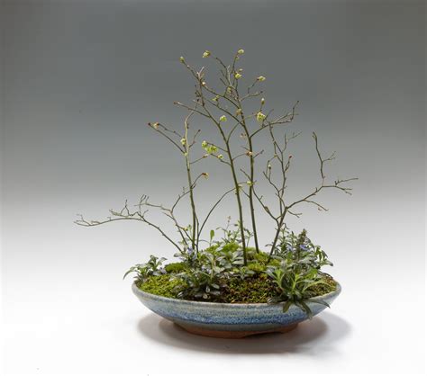 Spring — Kusamono