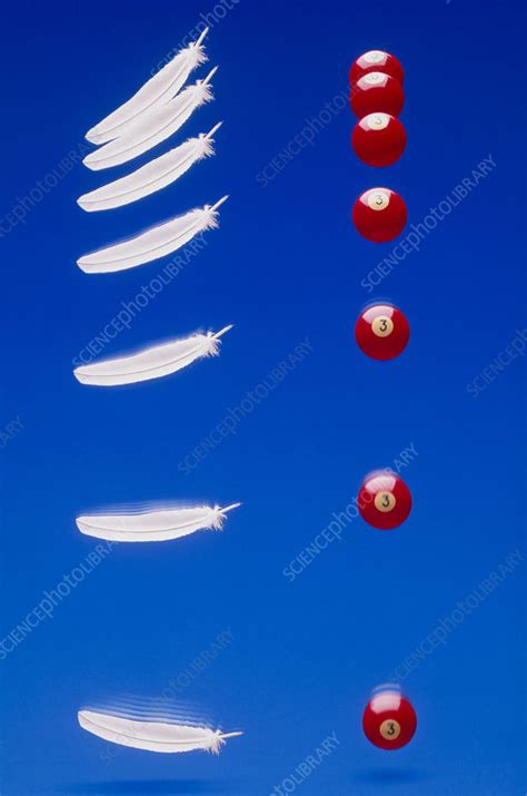 Gravity: feather & ball falling - Stock Image - A350/0117 - Science ...