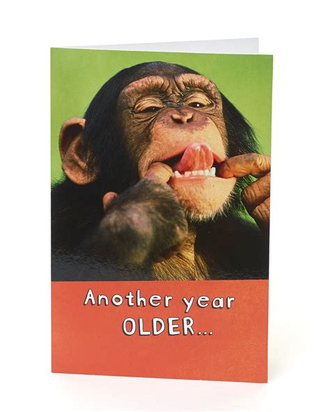 Buy Uk Greetings Birthday Card For Him Her Friend Monkey Design