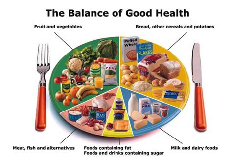 The History of the Eatwell Guide | myBMI