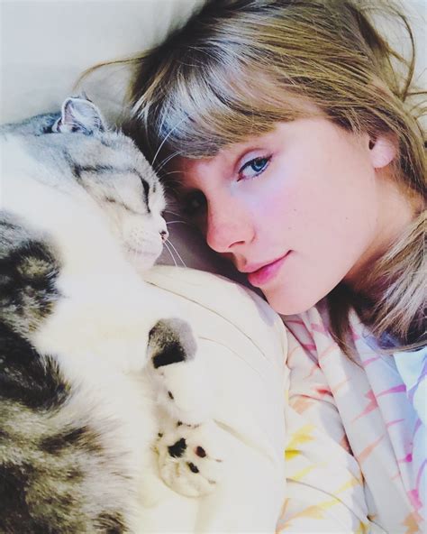 Guide to Taylor Swifts Cats — Meredith, Olivia and Benjamin
