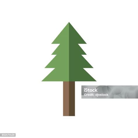 Gambar Alam Tanaman Pohon Pinus Ilustrasi Stok Unduh Gambar Sekarang