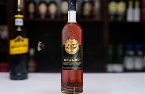 Qué es el Brandy: Tipos, destilado, características y como beber