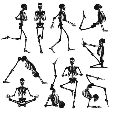 Skeleton Black Background