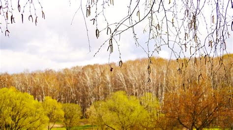 Осенние | Пикабу