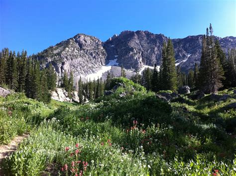 One life, many adventures!: Little Cottonwood Canyon