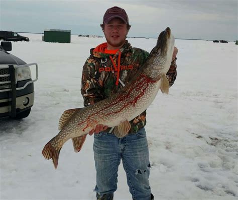 Lake of the Woods Ice Fishing Report - Visit Warroad, MN