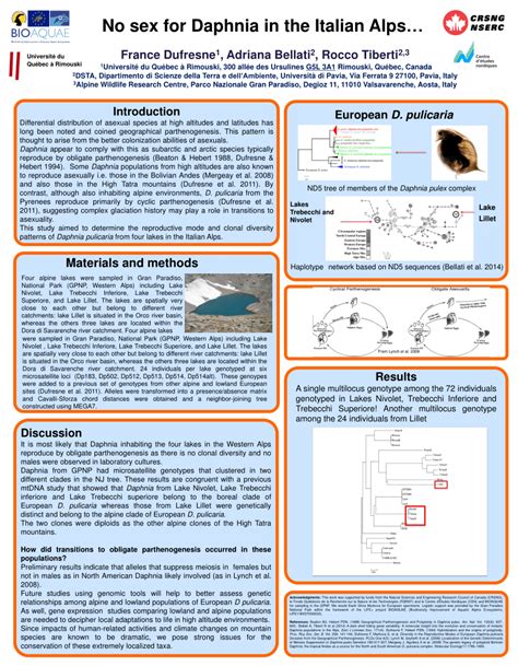 PDF No Sex For Daphnia In The Italian Alps