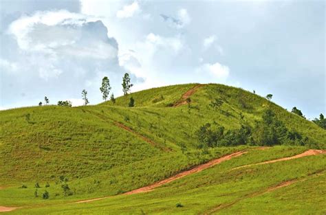 HILL definition and meaning | Collins English Dictionary