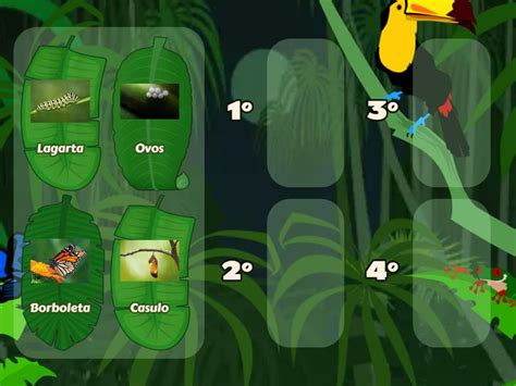 Suzana Esta Com Duvidas Acerca Das Primeiras Etapas De Desenvolvimento