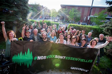 annual reports greenpeace international