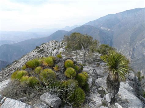 Los Mármoles National Park in Mexico Tourist Guide