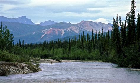 North Fork Koyukuk Wild and Scenic River - national wild and scenic rivers - Alaska Handbook