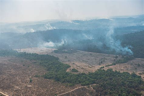 Amazônia Setembro Tem Maior Soma De Queimadas Desde 2010 26092022