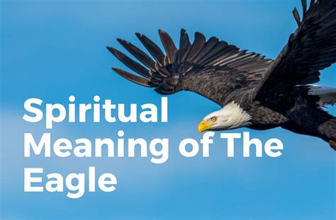 The Spiritual Meaning Of The Eagle! - Life Adventurously