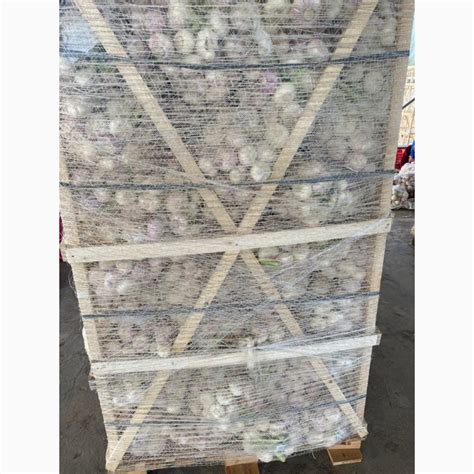 Купить ПРЕДЛАГАЮ свежий чеснок, Санкт-Петербург, Чеснок — AgroRU.net