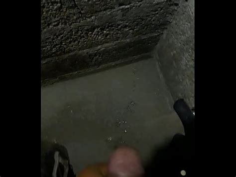 Cuando estoy sólo y no aguanto las ganas de jalarme la verga XVIDEOS