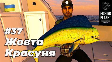 Квести - Fishing Planet (Кайро-Норі) #37 - YouTube