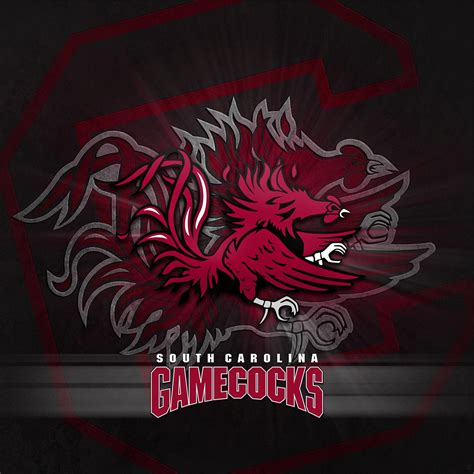 Gamecock Wallpapers Cell Phones - Wallpaper Cave