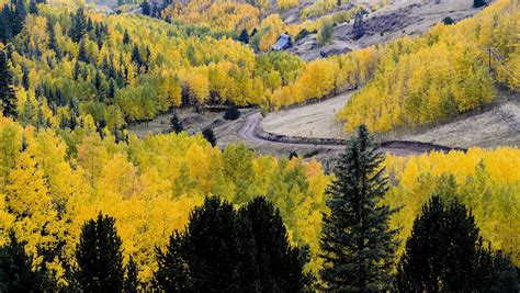 Colorado Fall Colors Guide Where And When To Go