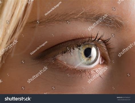 Sexy Blonde Blue Eyes Foto Stok Shutterstock
