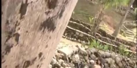 Chinese Nude Models Tnaflix