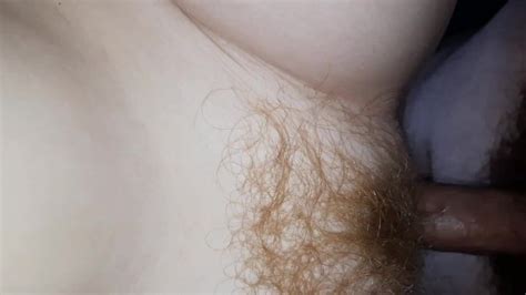 Kittens Pussy POV Pornhub